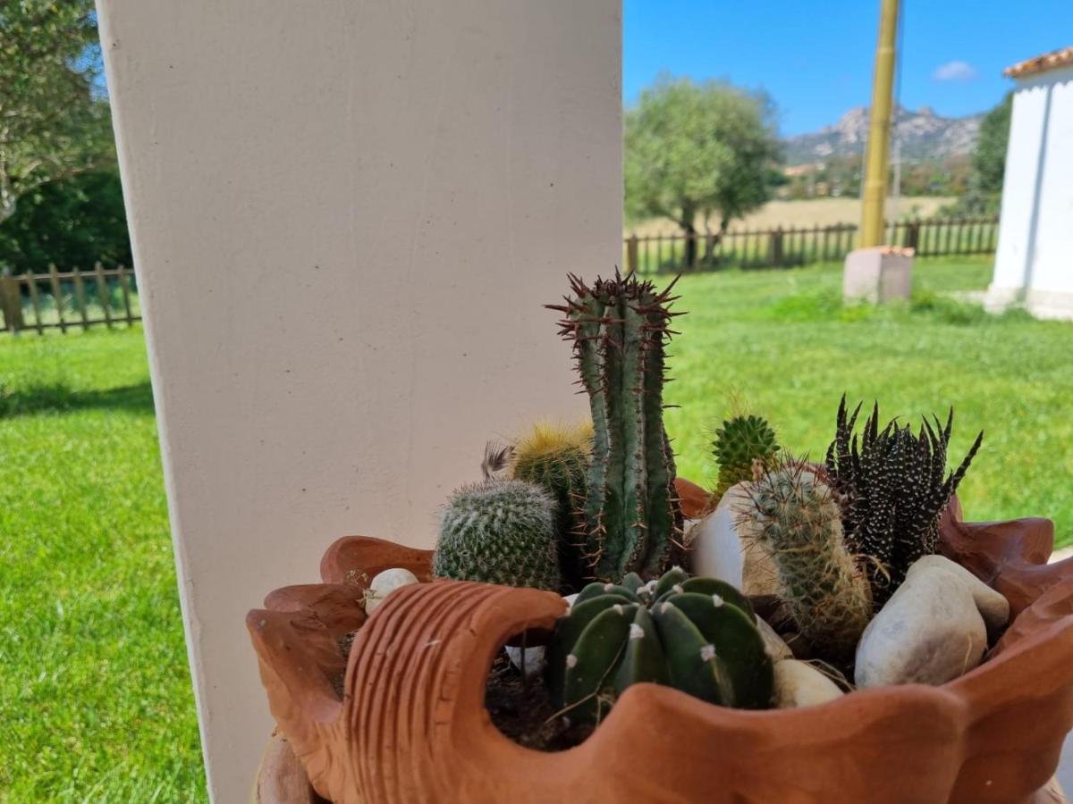 Lu Antu Alloggi Agrituristici Arzachena Exteriér fotografie